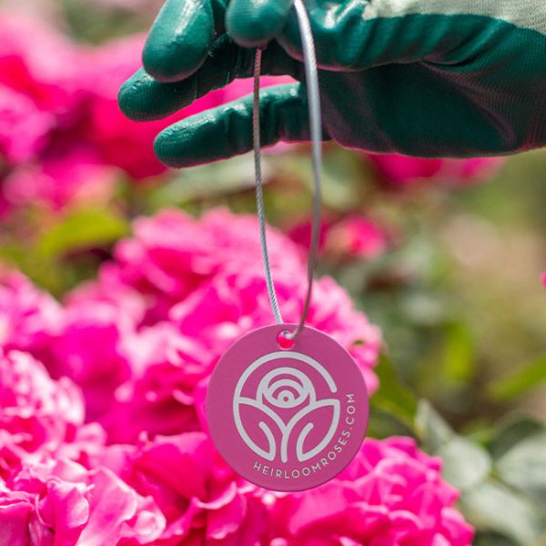 Garden Sun™ Tag Online Hot Sale