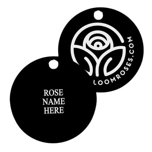 Pretty Polly® Lavender Tag For Discount