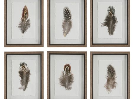 Birds Of A Feather - Framed Prints (Set of 6) Hot on Sale