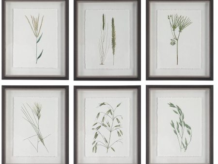 Forest - Finds Framed Prints (Set of 6) Supply