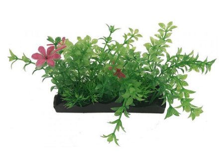 Penn Plax Green and Pink Bunch Plants Medium 1 count by Penn Plax Online