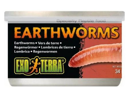 Exo Terra Canned Earthworms Specialty Reptile Food 1.2 oz by Exo Terra Supply