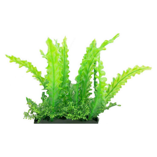 Penn Plax Wavy Edge Sword Bunch Plant Large 1 count by Penn Plax Cheap