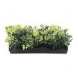 Penn Plax Yellow Bunch Plants Small 1 count by Penn Plax Discount