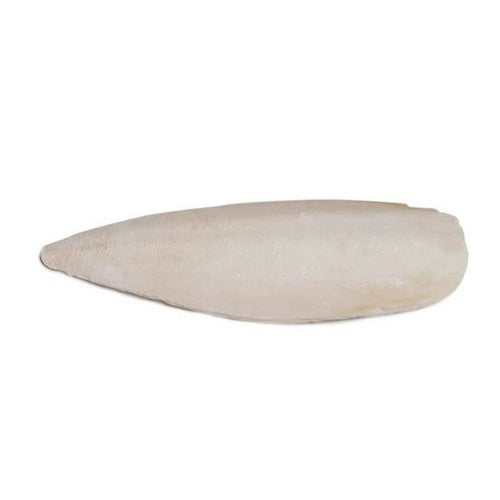 Prevue Cuttlebone Birdie Basics Large 6  Long Bulk 5 lbs by Prevue Fashion