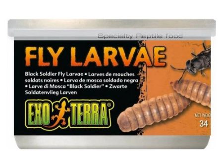 Exo Terra Canned Black Soldier Fly Larvae Specialty Reptile Food 1.2 oz by Exo Terra Cheap