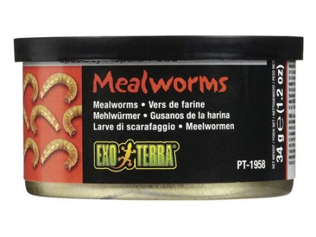 Exo Terra Canned Mealworms Specialty Reptile Food 1.2 oz by Exo Terra Sale