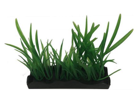 Penn Plax Harigrass Bunch Plant Medium 1 count by Penn Plax Supply