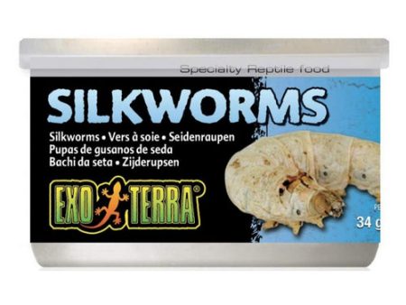 Exo Terra Canned Silkworms Specialty Reptile Food 1.2 oz by Exo Terra Cheap